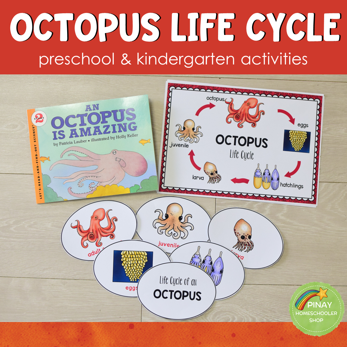 Octopus Life Cycle Preschool & Kindergarten Science Centers Pinay