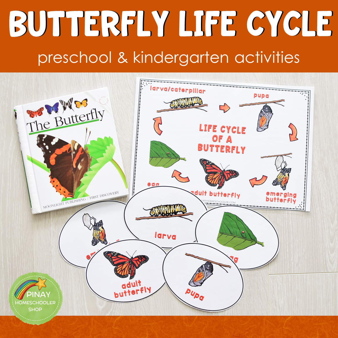 Mushroom Life Cycle Activity Kit – The Moments At Home