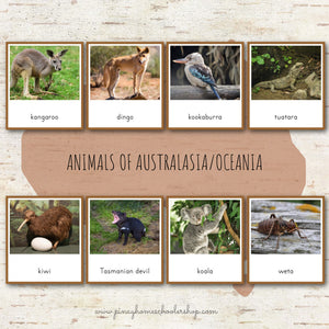 Animals of Australia Montessori 3 Part Cards and Fact Cards