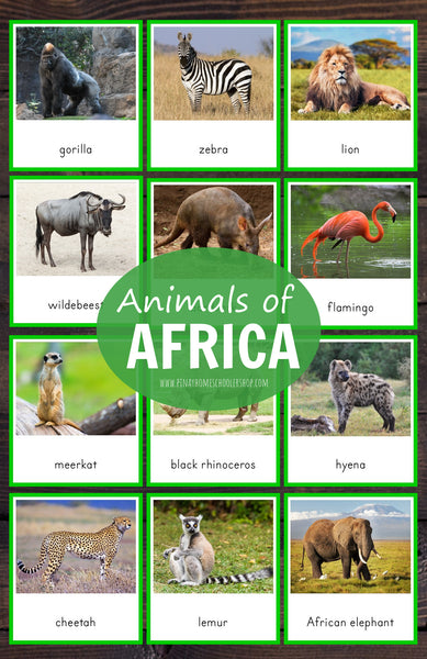 Animals of Africa Montessori  3 Part Cards with Fact Cards