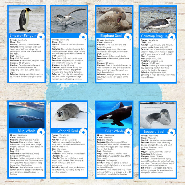 Animals of Antarctica Montessori 3 Part Cards and Fact Cards