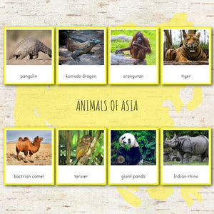 Animals of Asia Montessori  3 Part Cards and Fact Cards