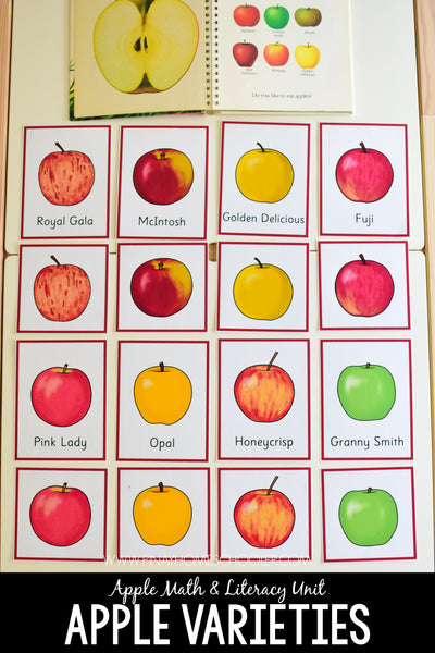 Apple Themed Preschool Math & Literacy Centers