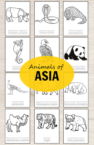 Animals of Asia Montessori  3 Part Cards and Fact Cards