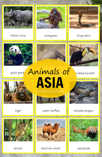 Animals of Asia Montessori  3 Part Cards and Fact Cards