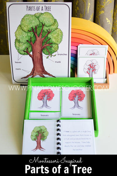 Parts of a Tree Montessori 3 and 4 Part Cards