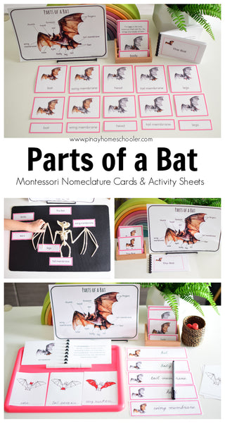 Montessori Parts of a Bat Learning Pack