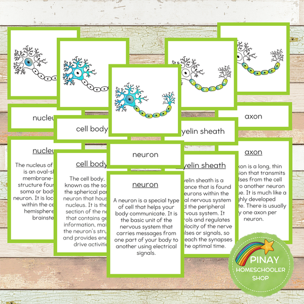 Parts of a Neuron Learning Pack