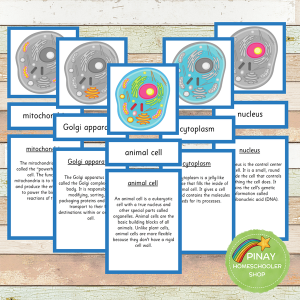 Parts of an Animal Cell