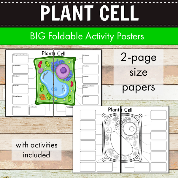 Plant Cell BIG Foldable Activity Posters