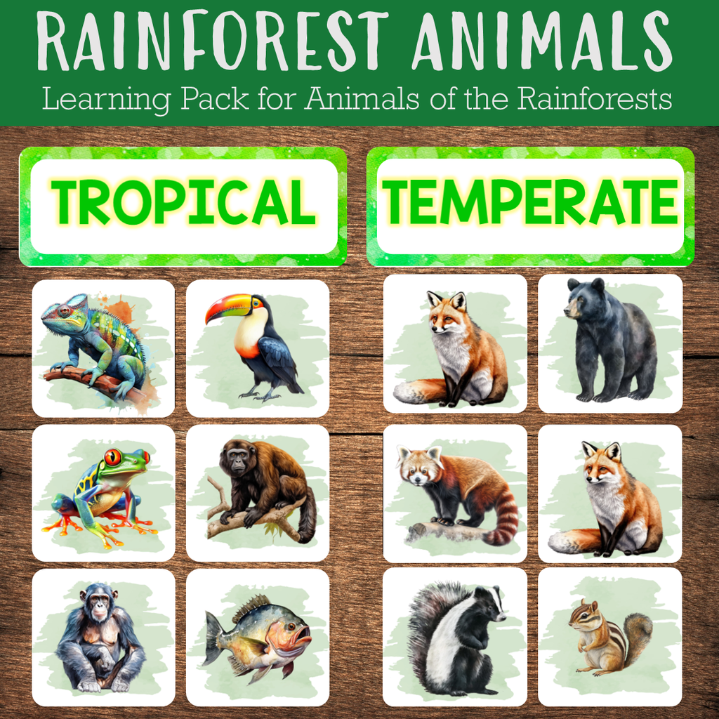 tropical rainforests animals list