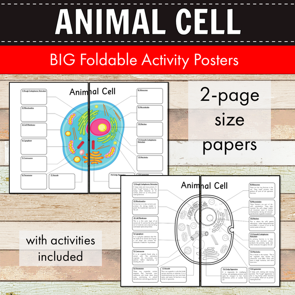 Animal Cell BIG Foldable Activity Posters