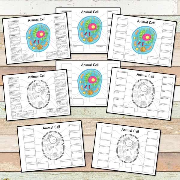 Animal Cell BIG Foldable Activity Posters