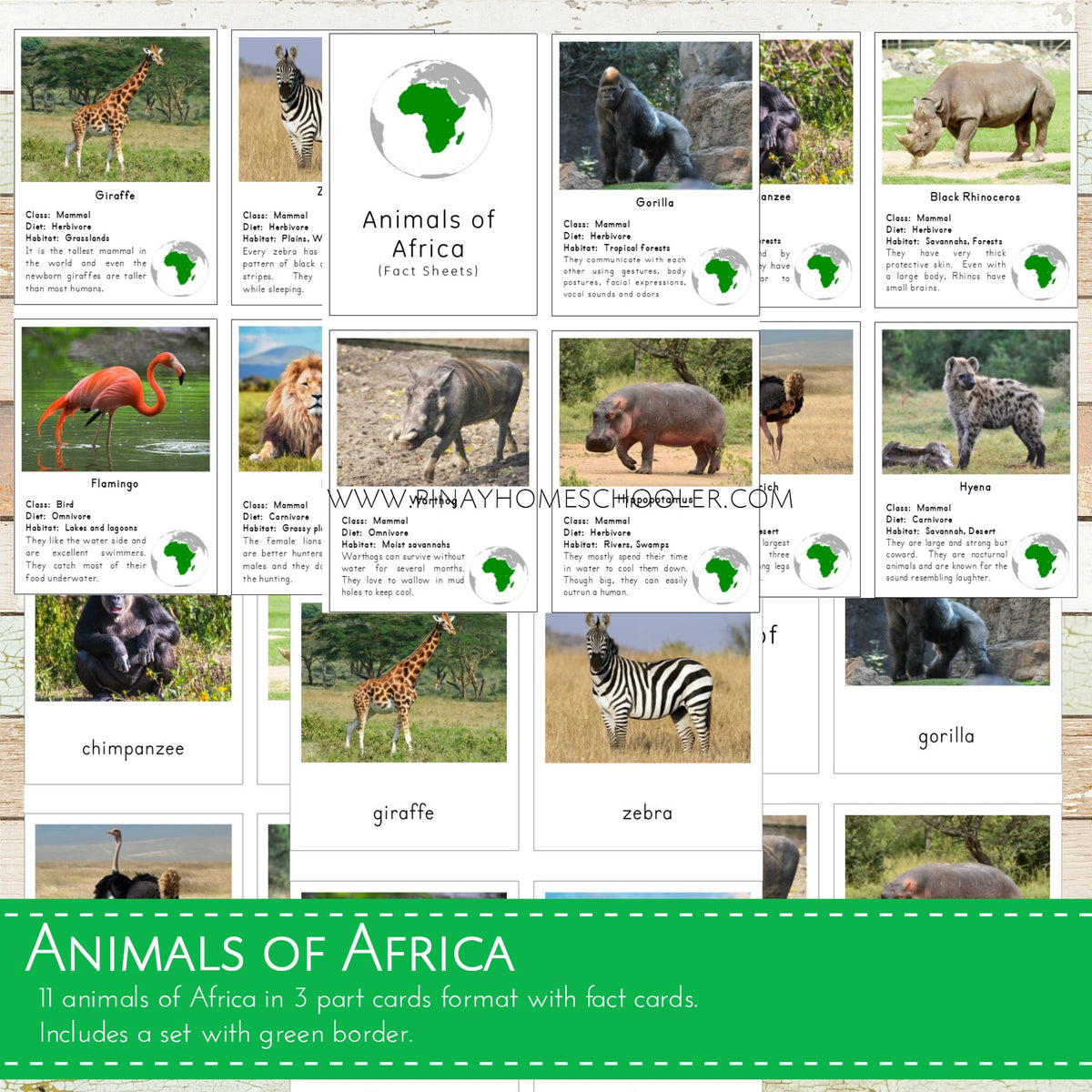 Animals of Africa Montessori 3 Part Cards with Fact Cards – Pinay ...