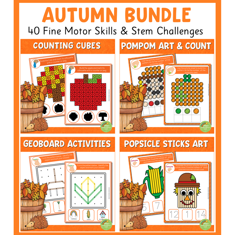 Seasons Fine Motor Skills STEM