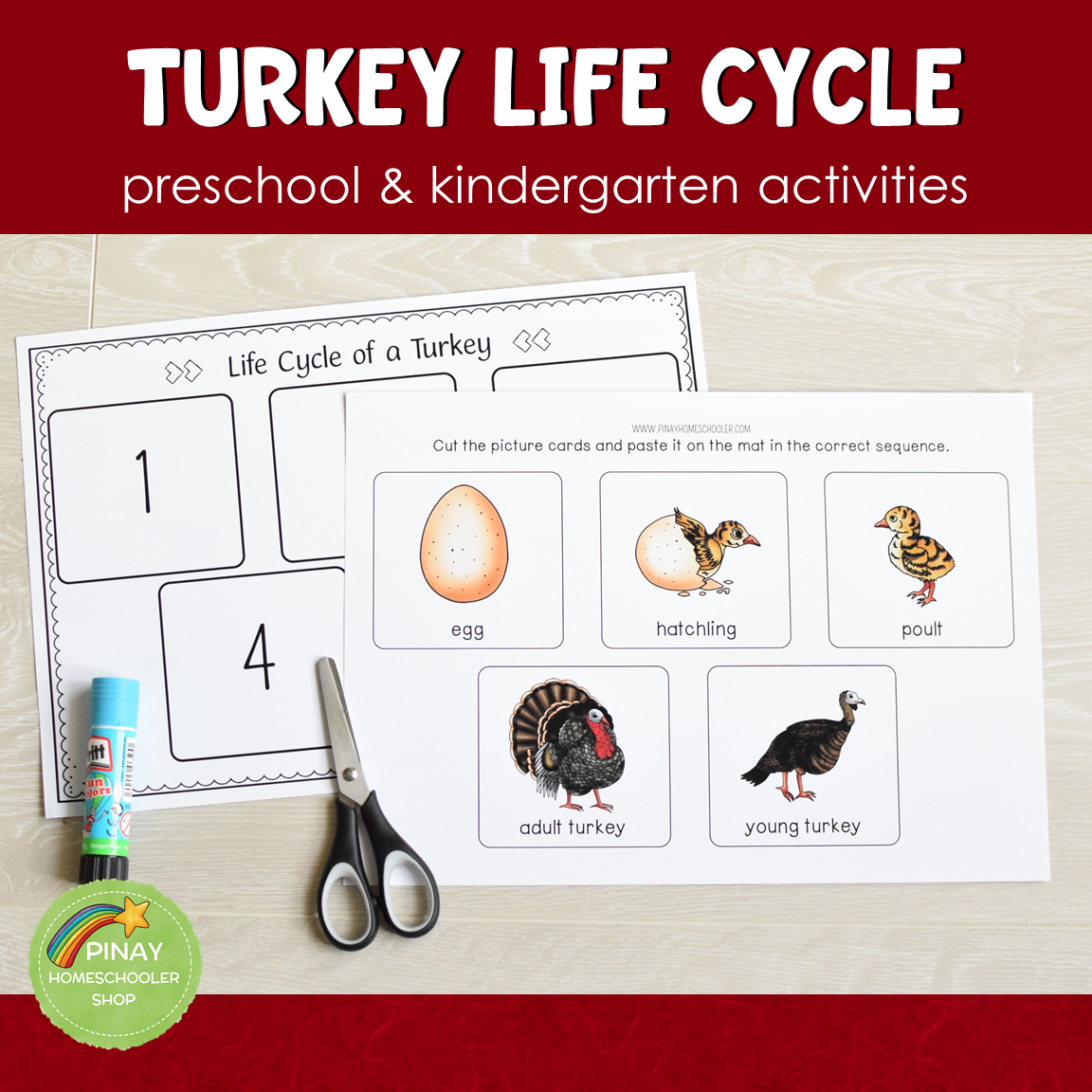 Turkey Life Cycle Activity Set – Pinay Homeschooler Shop