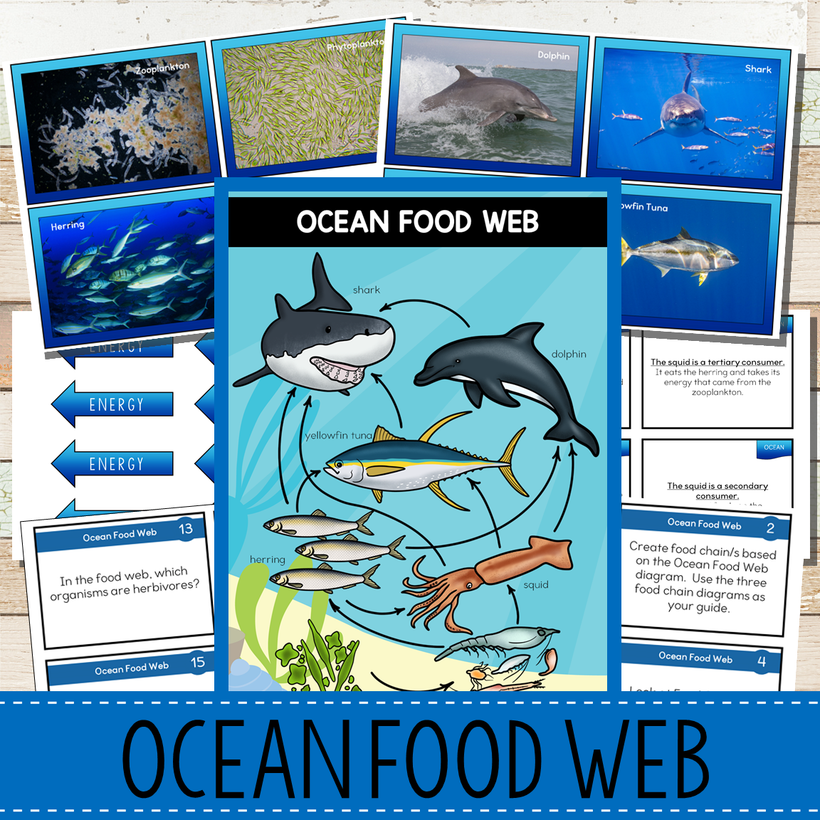 Food Webs Pack